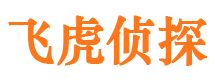 师宗市调查公司